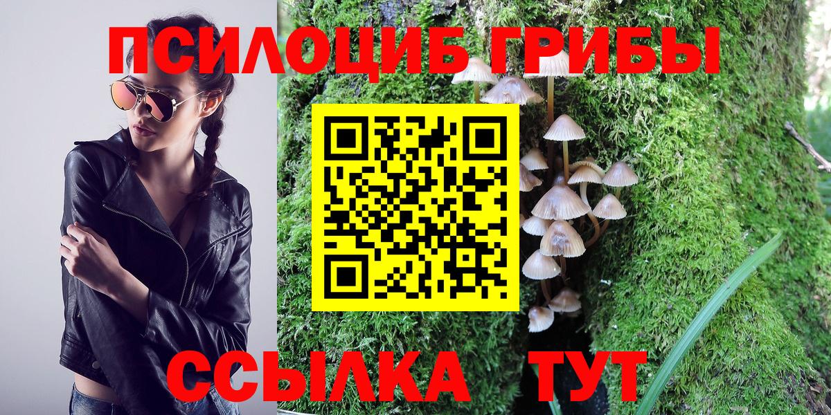 Псилоцибиновые грибы мухоморы  Вход с VPN  Саянск  Псилоцибиновые грибы Psilocybine cubensis 
