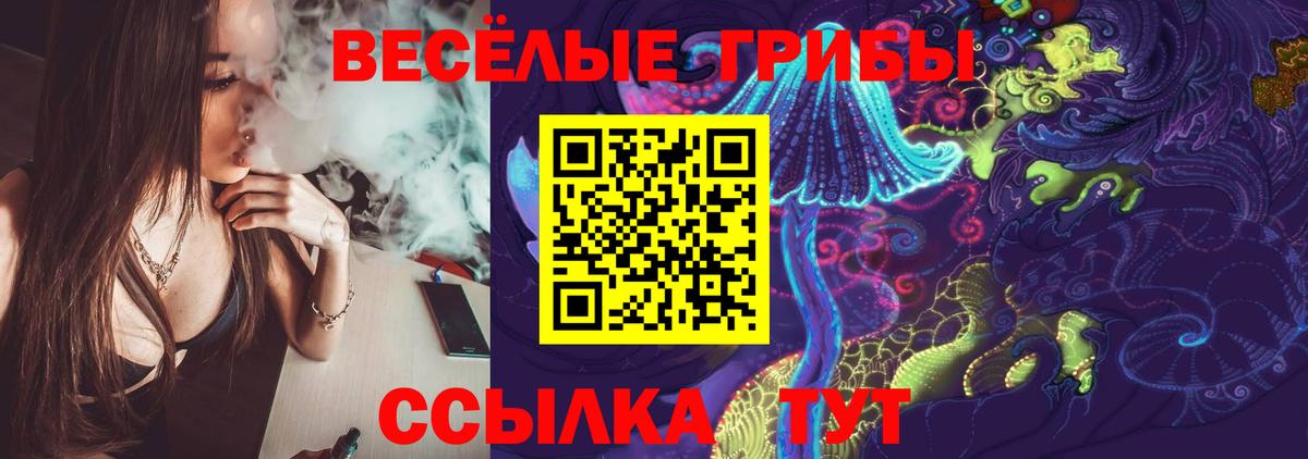 Псилоцибиновые грибы прущие грибы Саянск